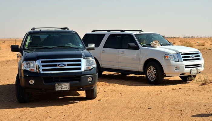 Problemas Del Ford Expedition